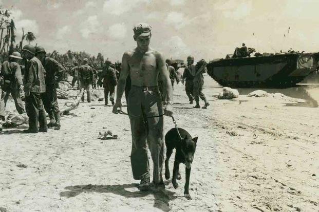 The Marine Corps Has a War Dog Graveyard on Guam | Military.com